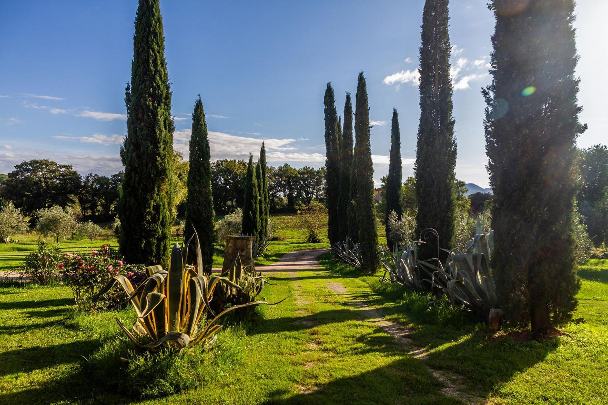 Vakantieboerderij Bio Fattoria Casetta *