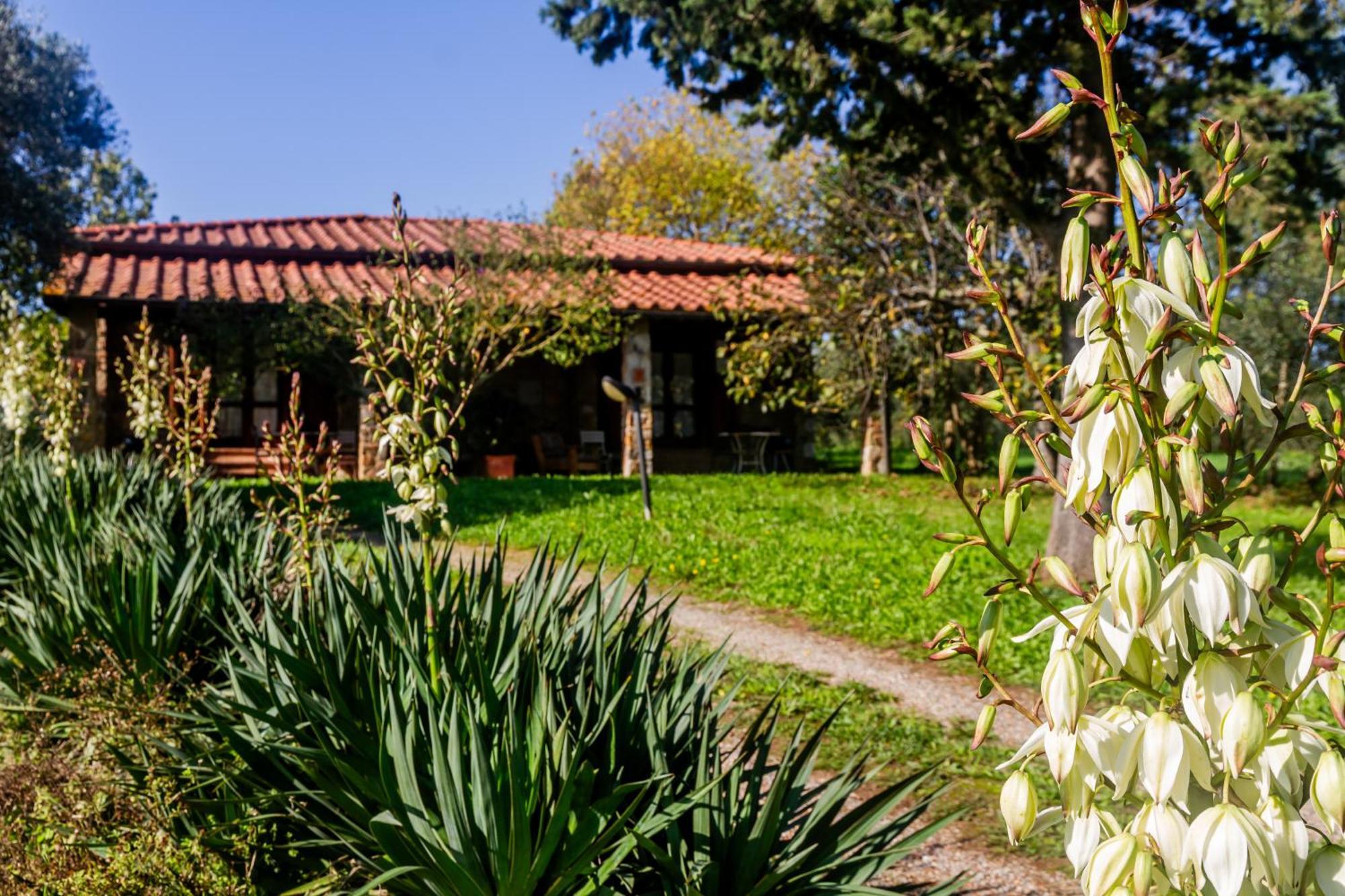 Bio Fattoria Casetta Vakantieboerderij Gavorrano